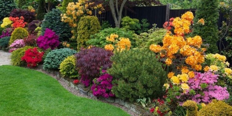 Кущі. Фото з мережі