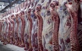 Заморожені туші. Фото з мережі
