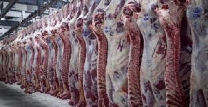 Заморожені туші. Фото з мережі