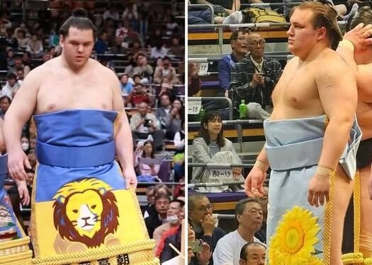 Українці творять історію у світі японського сумо