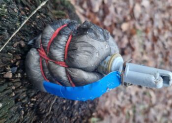 Фото патрульна поліція Києва