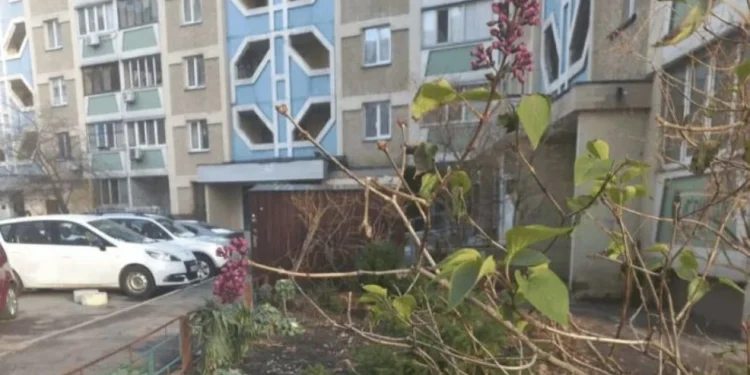 Цвітіння бузку взимку сьогодні спантеличило киян