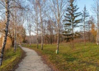 На Київщині зафіксували перший цього року температурний рекорд