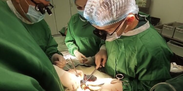 Методи лікування аневризми аорти порятунок життя