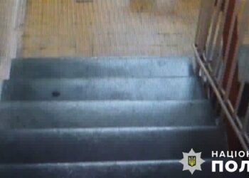 Жорстоке вбивство собаки у Києві обернеться тюремним ув'язненням для зловмисника