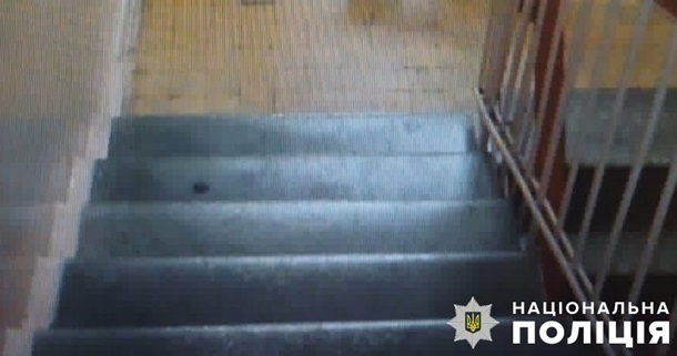 Жорстоке вбивство собаки у Києві обернеться тюремним ув'язненням для зловмисника