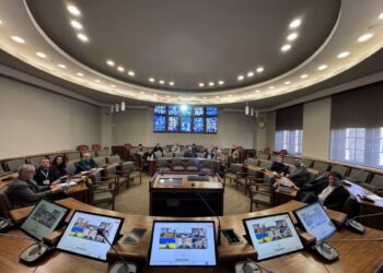 наглядова рада