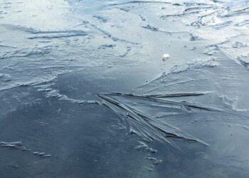 По кризі у Києві гуляла жінка з візочком