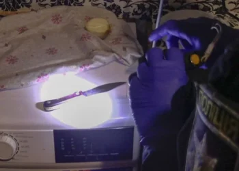 Київська вечірка перетворилася на криваву розправу