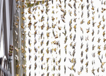 П'ять тисяч паперових птахів злетіли на фасад