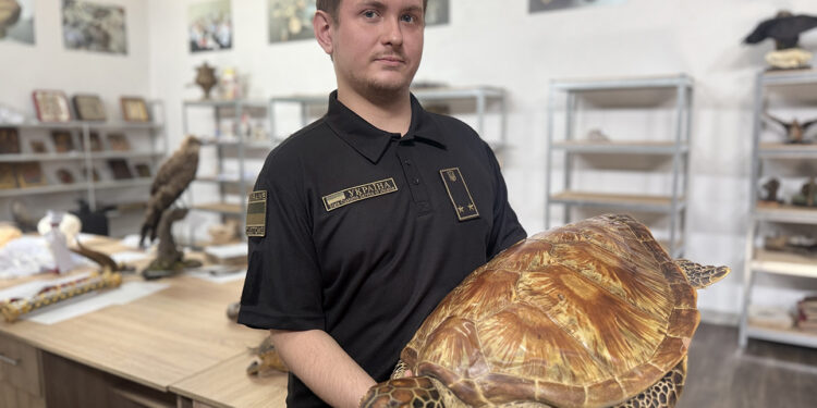 Митники зупинили спробу незаконного вивезення черепах