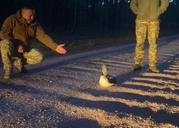 Прикордонники Житомирщини врятували рідкісну гагару