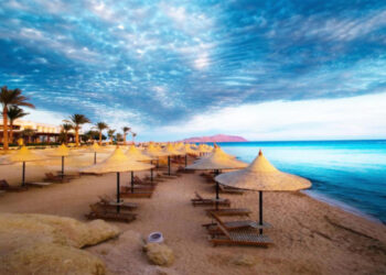 Viko Travel Гарячі путівки