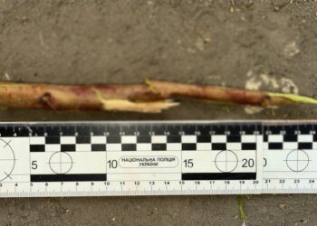 У Києві підліток забив до смерті безхатька