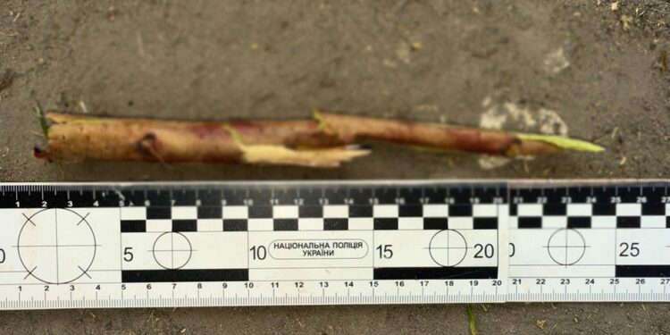 У Києві підліток забив до смерті безхатька