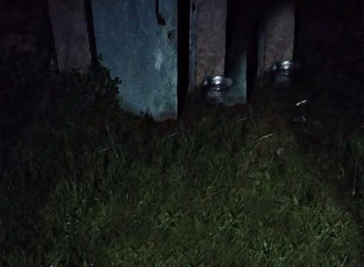 подружжя отруїлося чадним газом