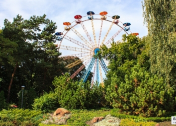 У парку хлопчик впав з мотузкової траси