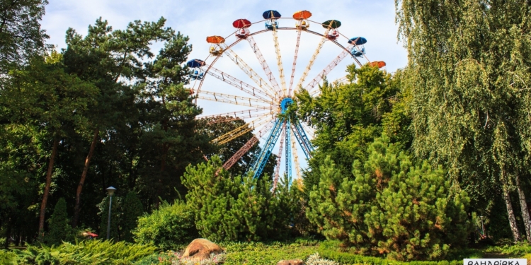 У парку хлопчик впав з мотузкової траси