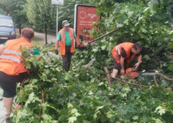 Буревій у Києві повалив десятки дерев