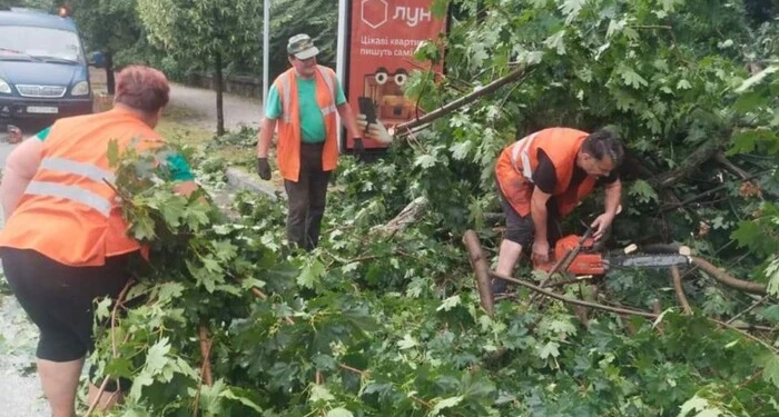 Буревій у Києві повалив десятки дерев