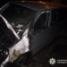Киянка напідпитку підпалила дві автівки