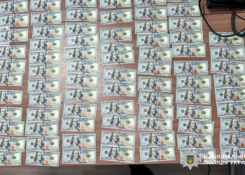 Викрала у знайомого 50 тисяч доларів