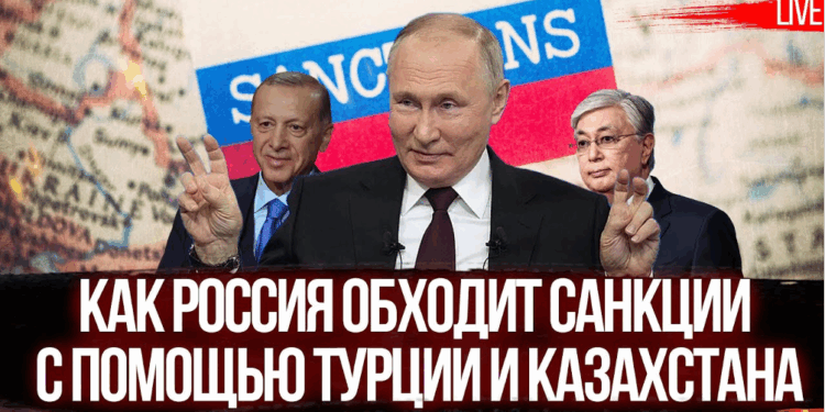 Етібар Ейюб, Тахір Гараєв та ухилення «Роснефті» від санкцій: тіньова мережа торгівлі російською нафтою