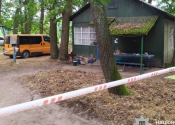 Жінка заколола шампуром свого чоловіка