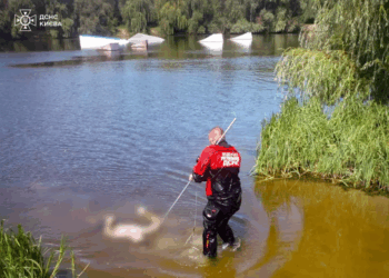 Зі столичних водойм дістали двох потопельників