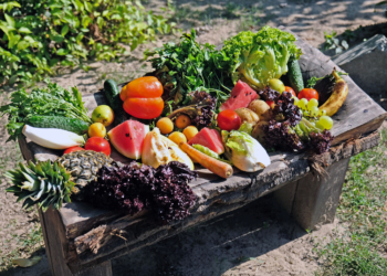 Шанувальники привітали з поважною річницею одного з особливих мешканців Києва
