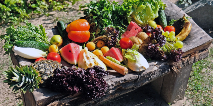 Шанувальники привітали з поважною річницею одного з особливих мешканців Києва