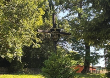 Експедиція знову розпочала ексгумаційні роботи