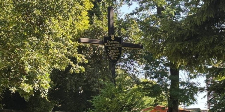 Експедиція знову розпочала ексгумаційні роботи