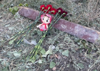 день жалоби