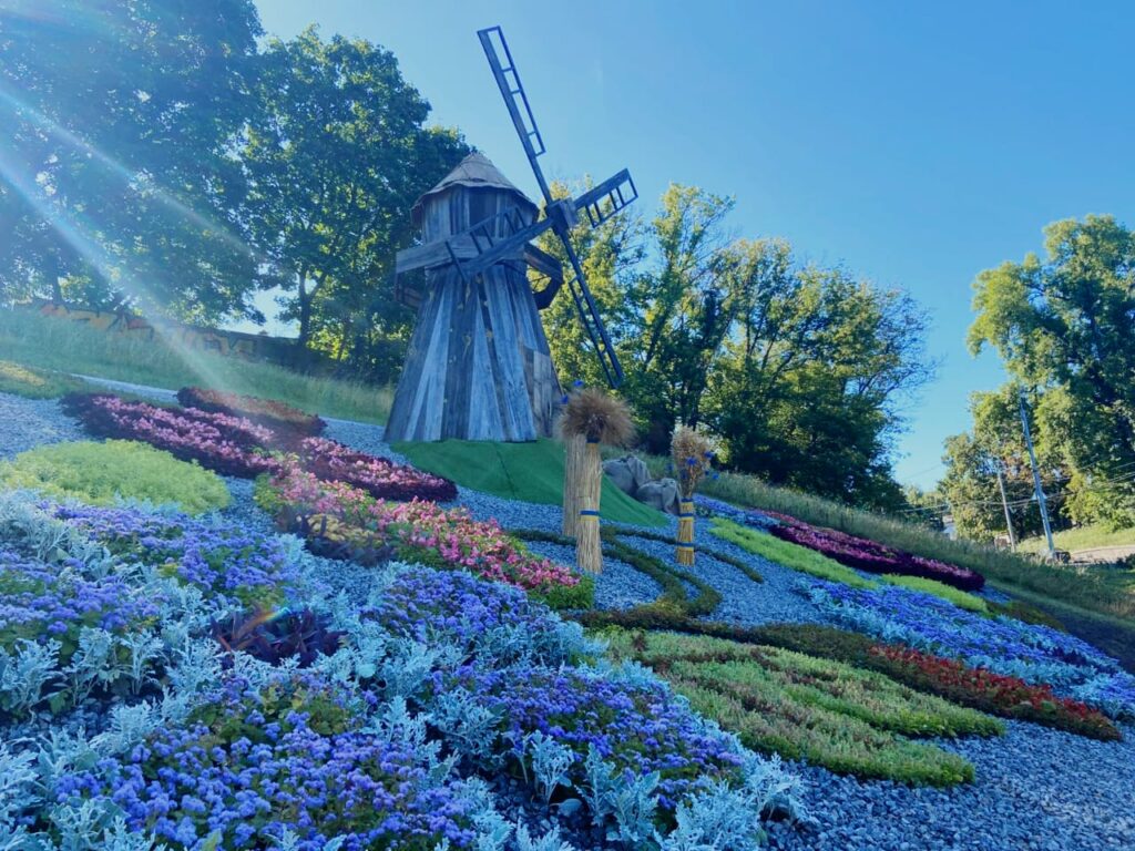 квіти