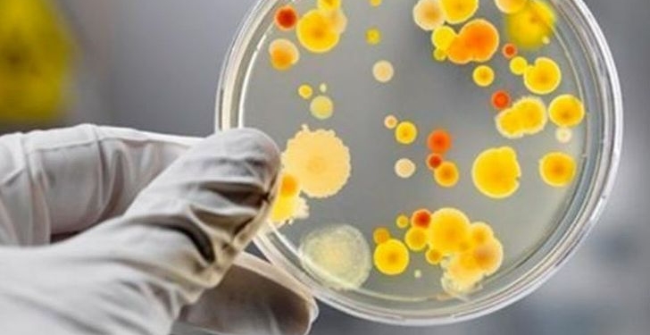 кишкова інфекція