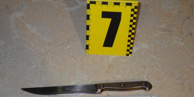 У Києві жінка вбила співмешканця