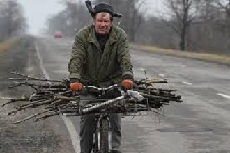 Українцям заборонили збирати в лісі дрова