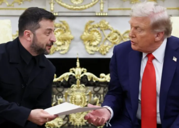 Зеленський і Трамп знайшли спільну мову