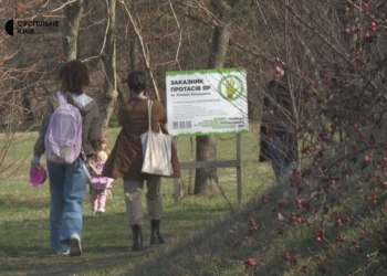 протасів яр