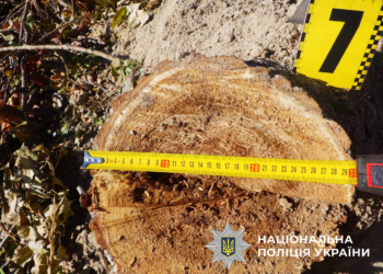 На прибережній зоні Русанівської протоки незаконне будівництво