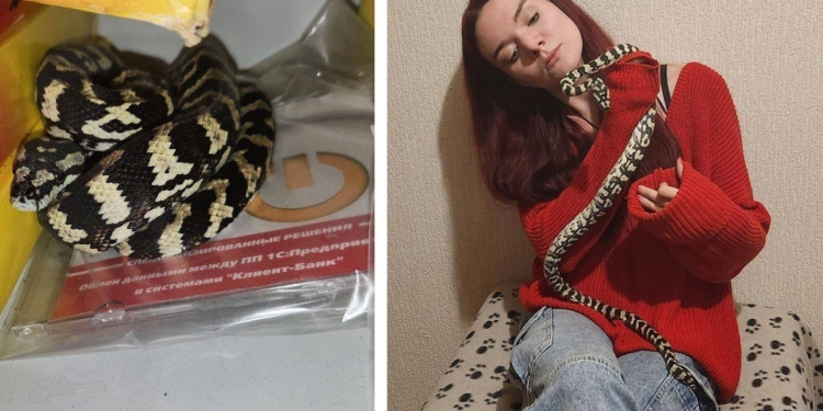 пітон