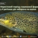 форель