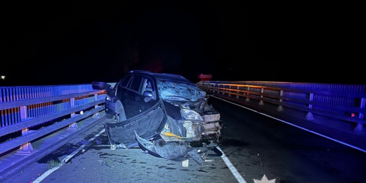 Нетверезий водій вчинив смертельне ДТП