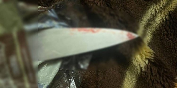 Підрізав обранця своєї колишньої дружини