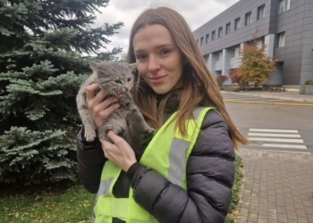 Поліцейська прихистила знайдене під завалами кошеня