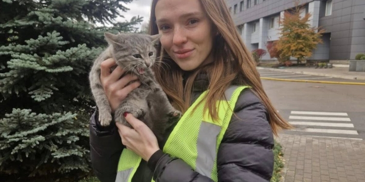 Поліцейська прихистила знайдене під завалами кошеня