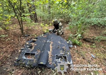 У лісосмузі поліцейські виявили уламки шахеда