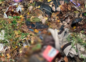 Убив знайомого та приховав тіло опалим листям