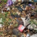 Убив знайомого та приховав тіло опалим листям